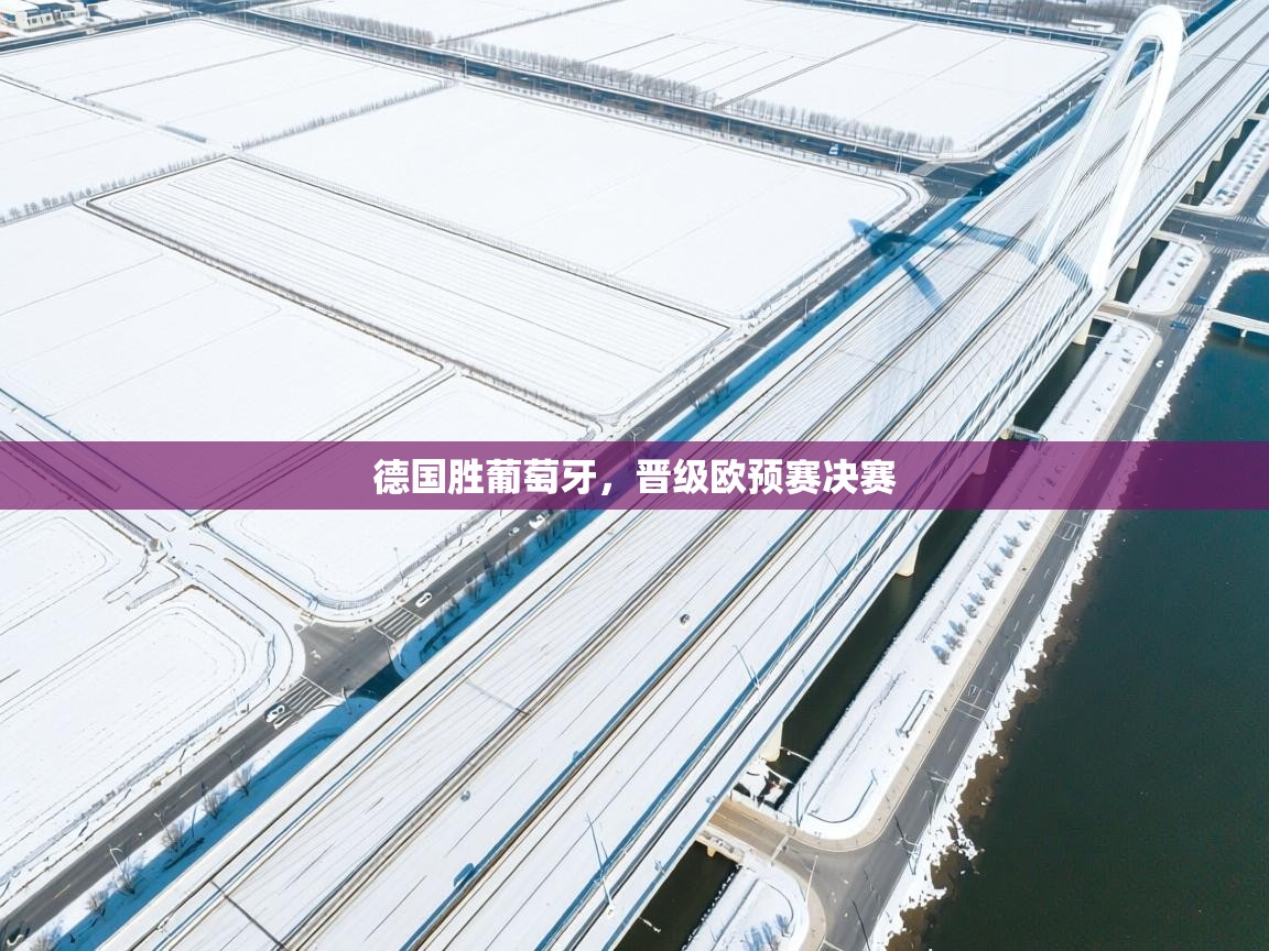 德国胜葡萄牙，晋级欧预赛决赛  第2张