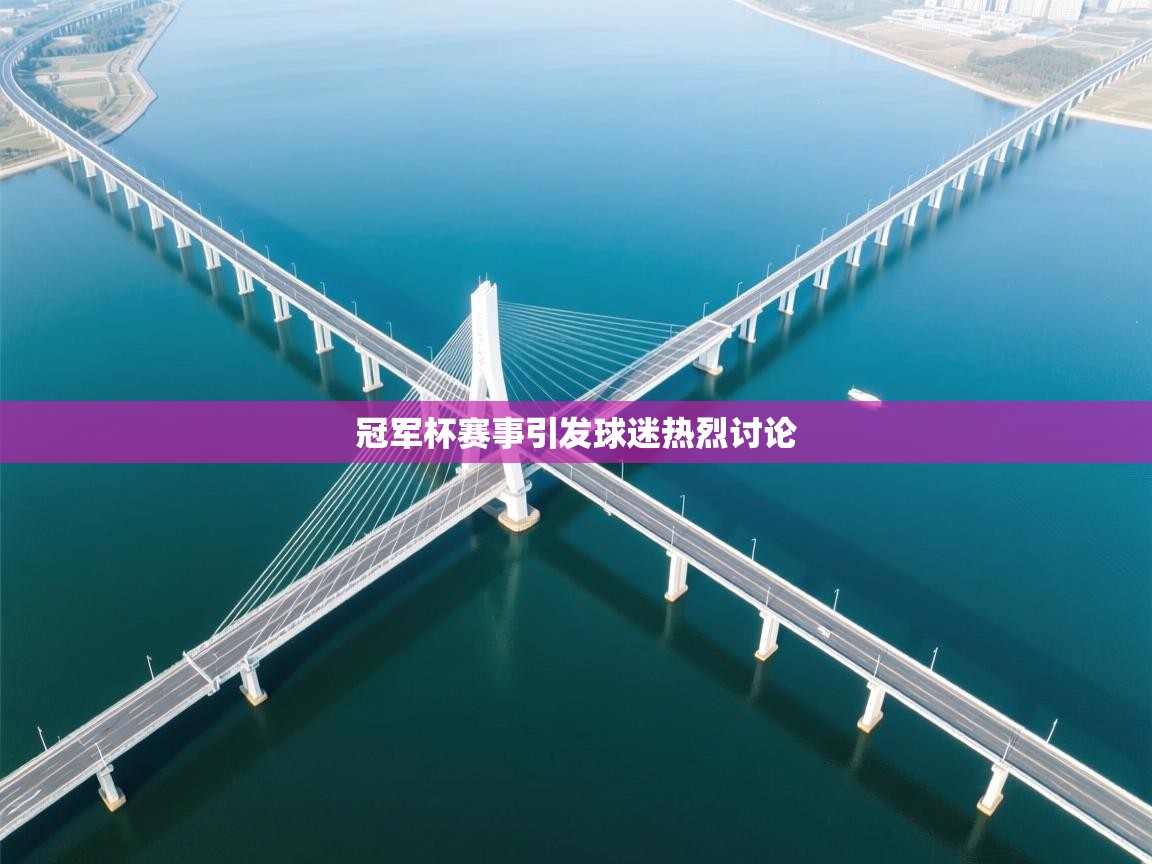 冠军杯赛事引发球迷热烈讨论  第1张