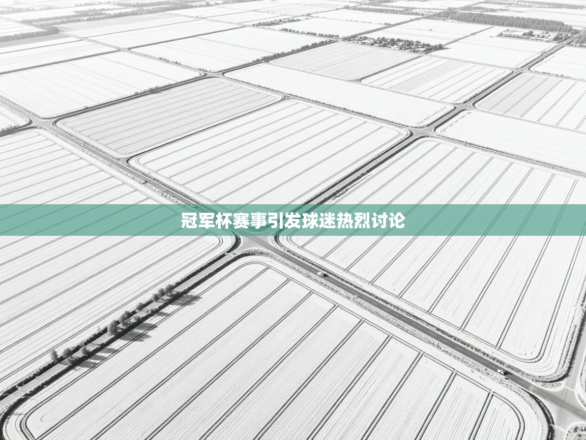 冠军杯赛事引发球迷热烈讨论  第2张